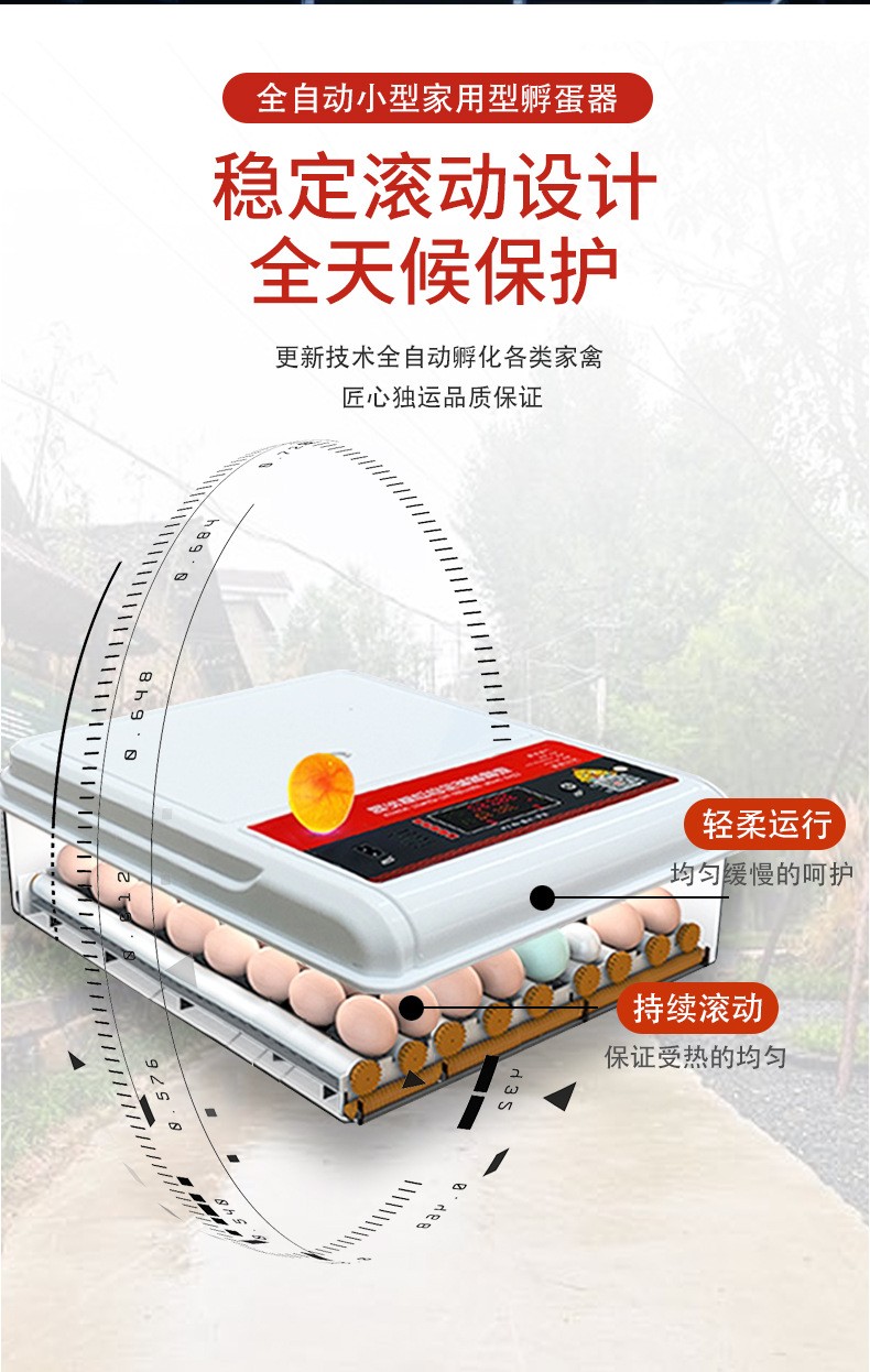 孵化器全自动家用小型塑料壳孵化机家用孵化箱鸡鸭鹅鸽子蛋孵化器图5