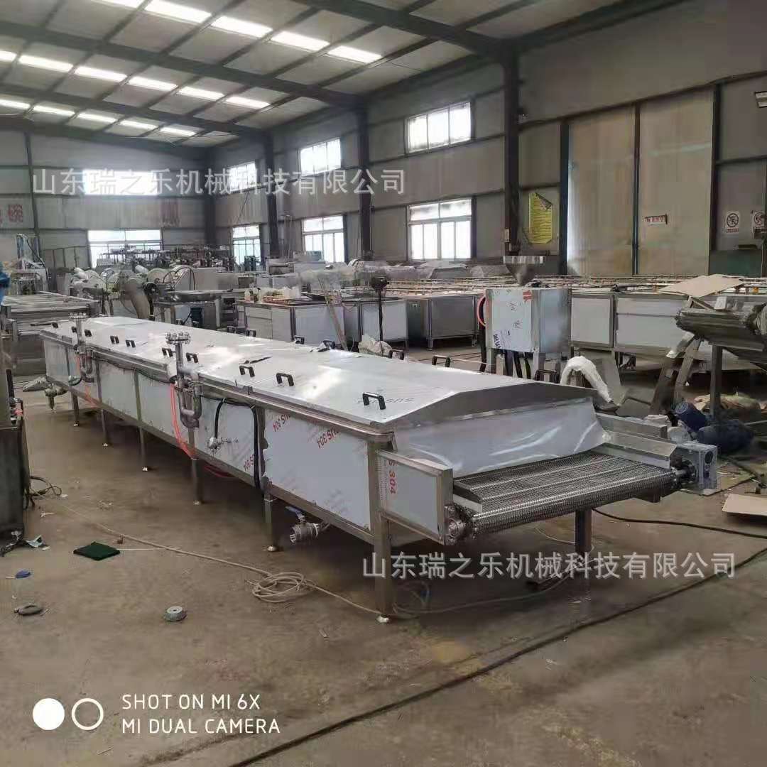 水果玉米清洗机 东北黄糯粘黏玉米棒漂烫流水线 即食甜玉米设备图2