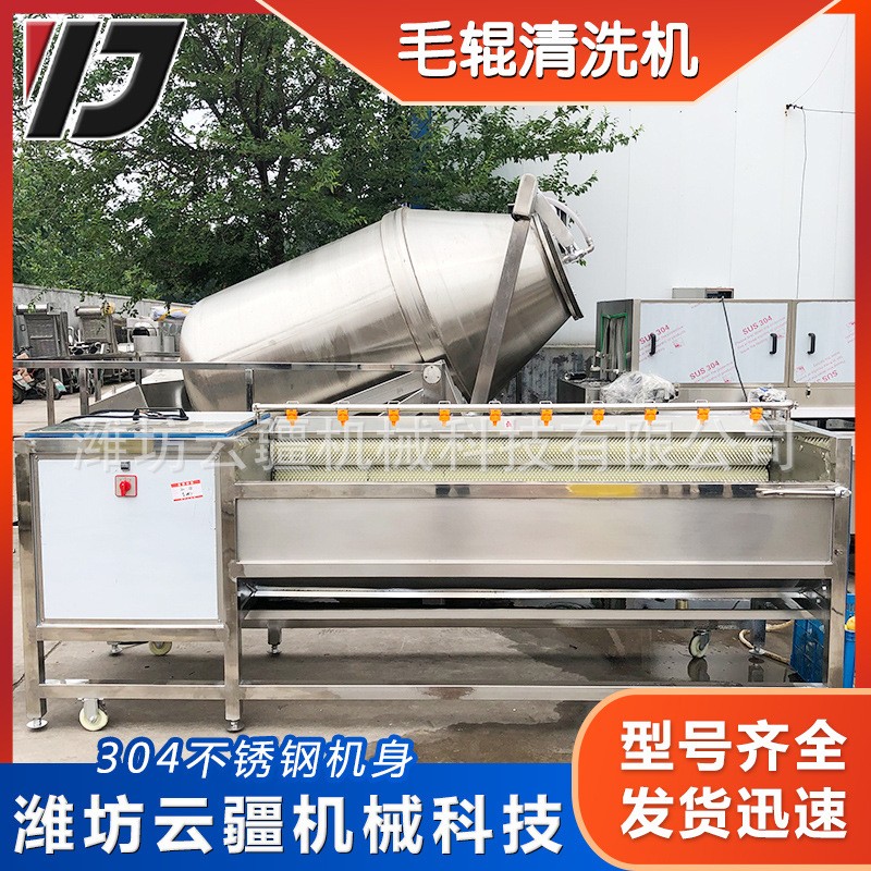 全自动毛辊清洗机 土豆芋头山药清洗去泥机 小龙虾毛辊清洗设备图2