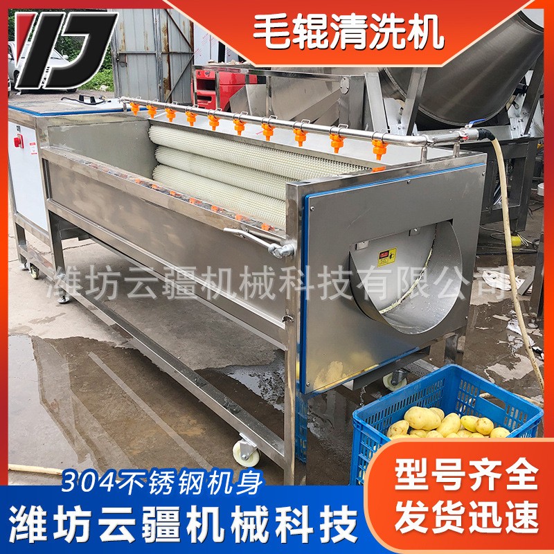 全自动毛辊清洗机 土豆芋头山药清洗去泥机 小龙虾毛辊清洗设备图3