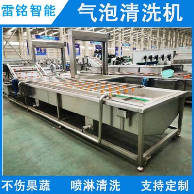 供应蔬菜水果清洗机柑桔橙子清洗机 自动气泡清洗机 洗果机洗菜机