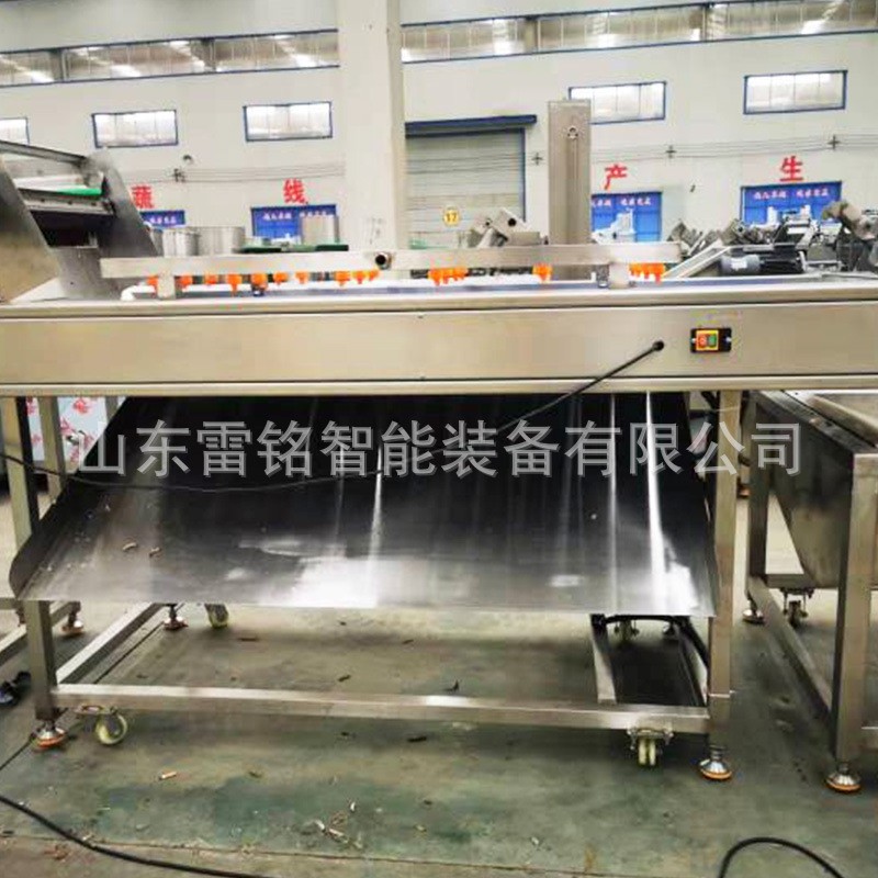 供应蔬菜水果清洗机柑桔橙子清洗机 自动气泡清洗机 洗果机洗菜机图3