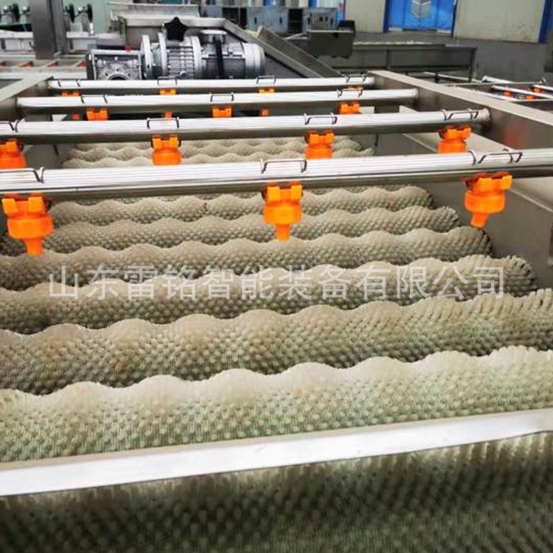 供应蔬菜水果清洗机柑桔橙子清洗机 自动气泡清洗机 洗果机洗菜机图4