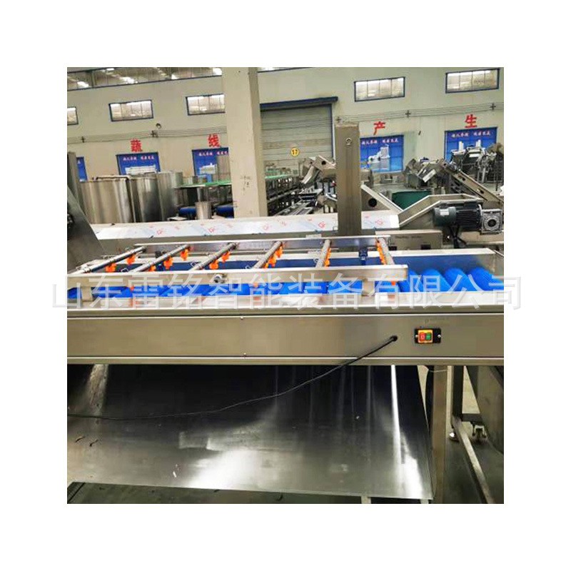 供应蔬菜水果清洗机柑桔橙子清洗机 自动气泡清洗机 洗果机洗菜机图5