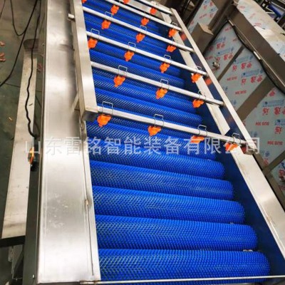 全自动红薯清洗机 气泡冲浪喷淋洗菜机 根茎类蔬菜清洗风干线