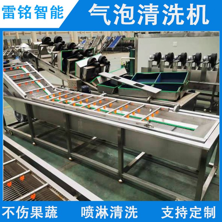 全自动红薯清洗机 气泡冲浪喷淋洗菜机 根茎类蔬菜清洗风干线图3