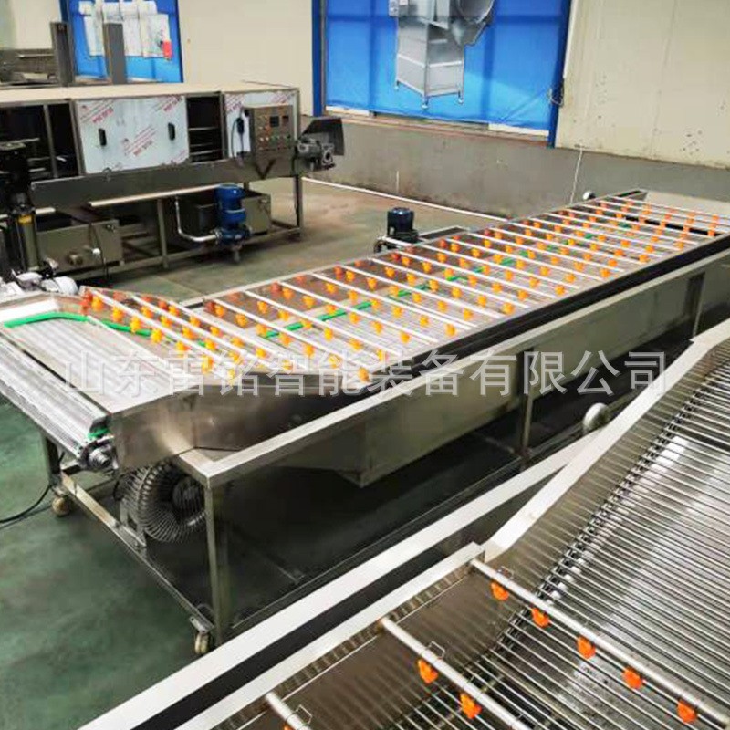 全自动红薯清洗机 气泡冲浪喷淋洗菜机 根茎类蔬菜清洗风干线图2