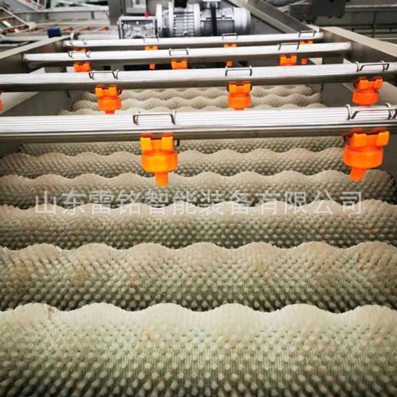 全自动红薯清洗机 气泡冲浪喷淋洗菜机 根茎类蔬菜清洗风干线图4