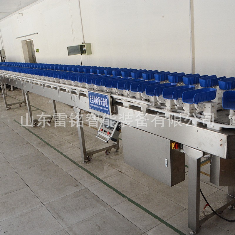 自动称重分选机 水果自动分拣设备分拣机 牡蛎料盒重量分级机厂家图4