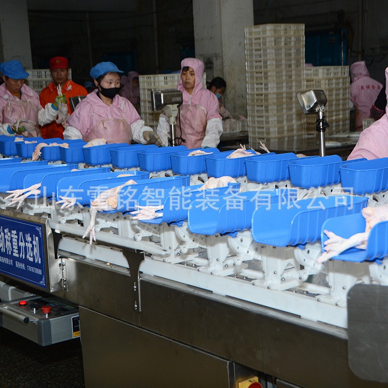 自动称重分选机 海参海蛎子扇贝分拣机 牡蛎料盒重量分级机设备图2