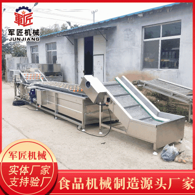 全自动大型果蔬气泡清洗机 莴笋高压喷淋果蔬清洗机 芸豆清洗设备