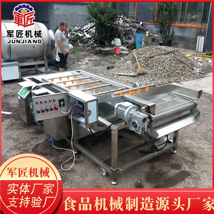 全自动大型果蔬气泡清洗机 莴笋高压喷淋果蔬清洗机 芸豆清洗设备图4