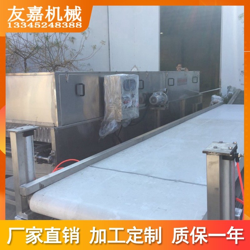 定 制气泡清洗机蔬菜竹笋草莓翻浪式蔬菜清洗设备 果蔬清洗机图2