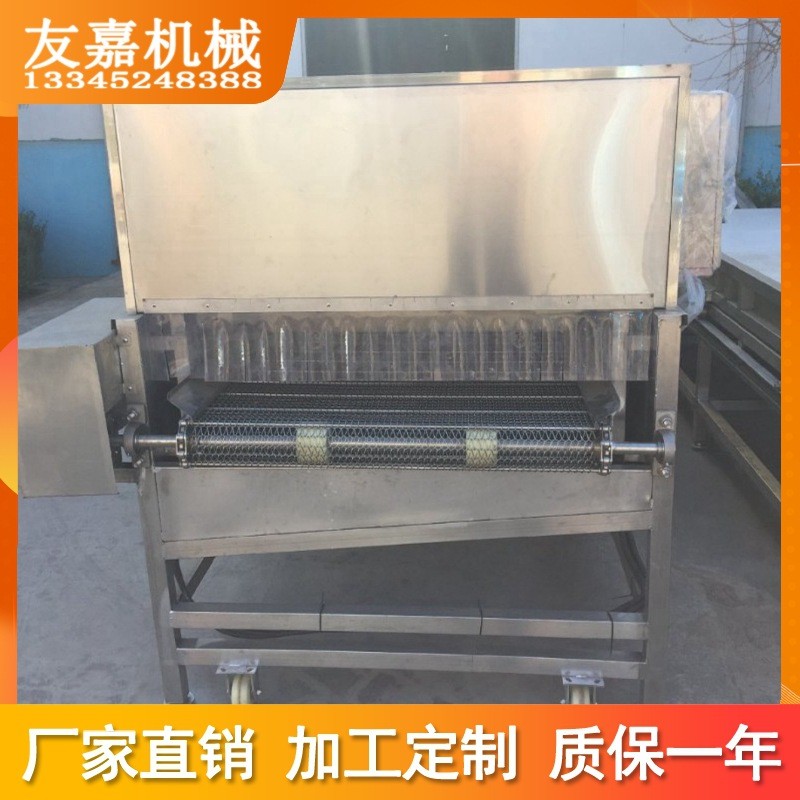 定 制气泡清洗机蔬菜竹笋草莓翻浪式蔬菜清洗设备 果蔬清洗机图4