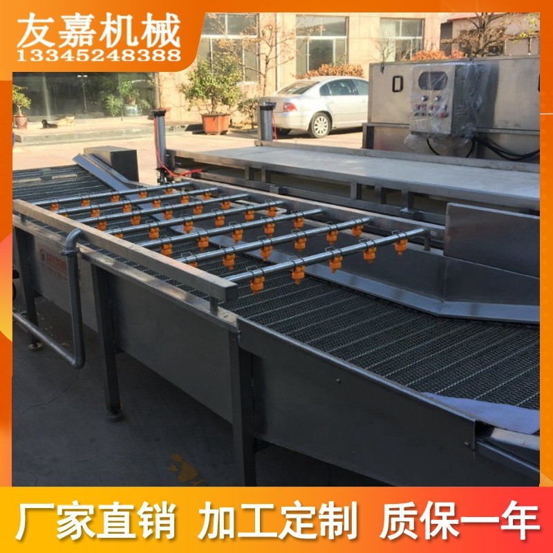 定 制气泡清洗机蔬菜竹笋草莓翻浪式蔬菜清洗设备 果蔬清洗机图3