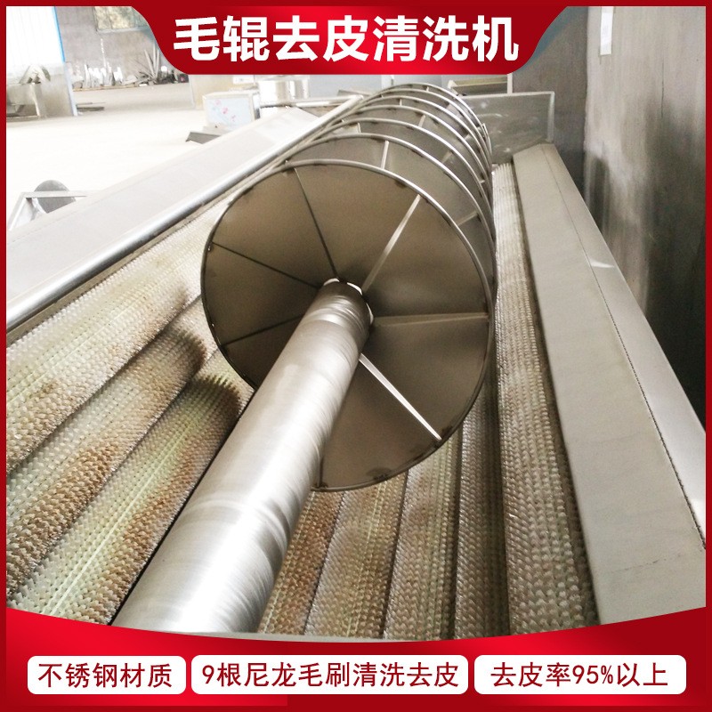 家用红薯去皮清洗机 胡萝卜土豆自动磨皮削皮机 小蜜薯毛辊去皮机图2