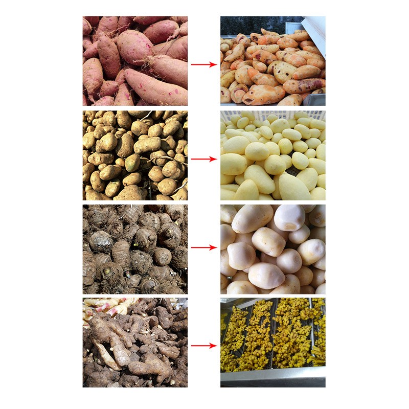 家用红薯去皮清洗机 胡萝卜土豆自动磨皮削皮机 小蜜薯毛辊去皮机图5