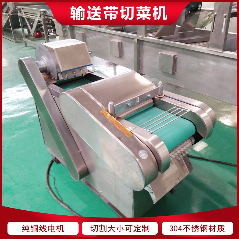 厂家供应香蕉切片机 火龙果下压式切片机 苦瓜片高效均匀切片设备图4