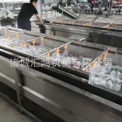 红枣全自动清洗机 鲜枣水果气泡清洗线 连续洗枣机器厂家