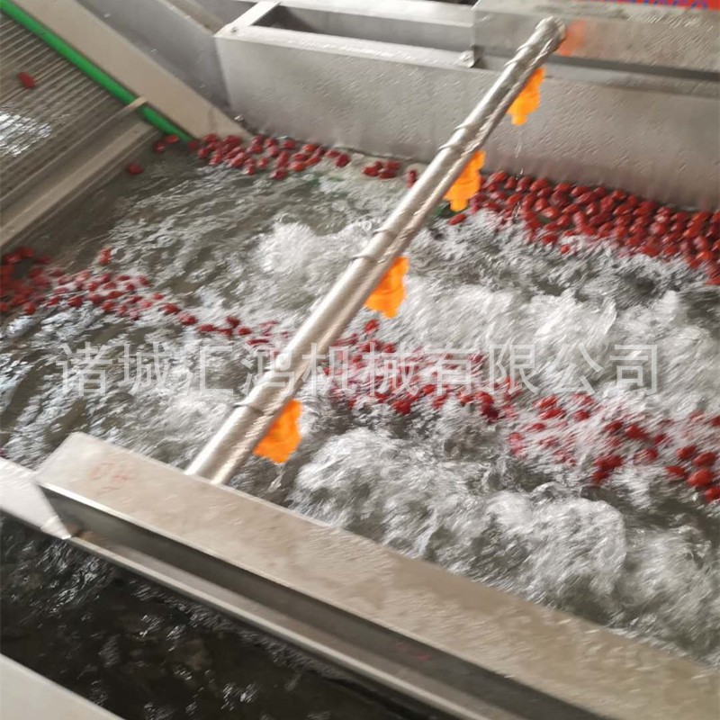 红枣全自动清洗机 鲜枣水果气泡清洗线 连续洗枣机器厂家图3