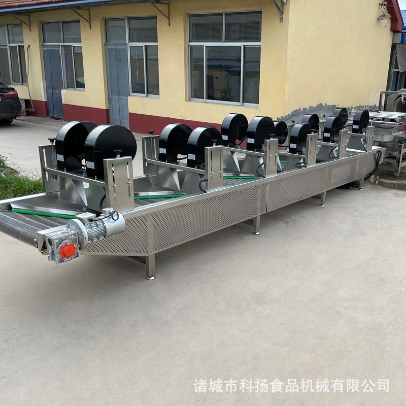 气泡清洗机 不锈钢高压喷淋果蔬清洗机 商用玉米海参气泡清洗机图4