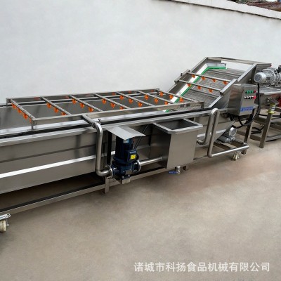 气泡清洗机 不锈钢高压喷淋果蔬清洗机 商用玉米海参气泡清洗机