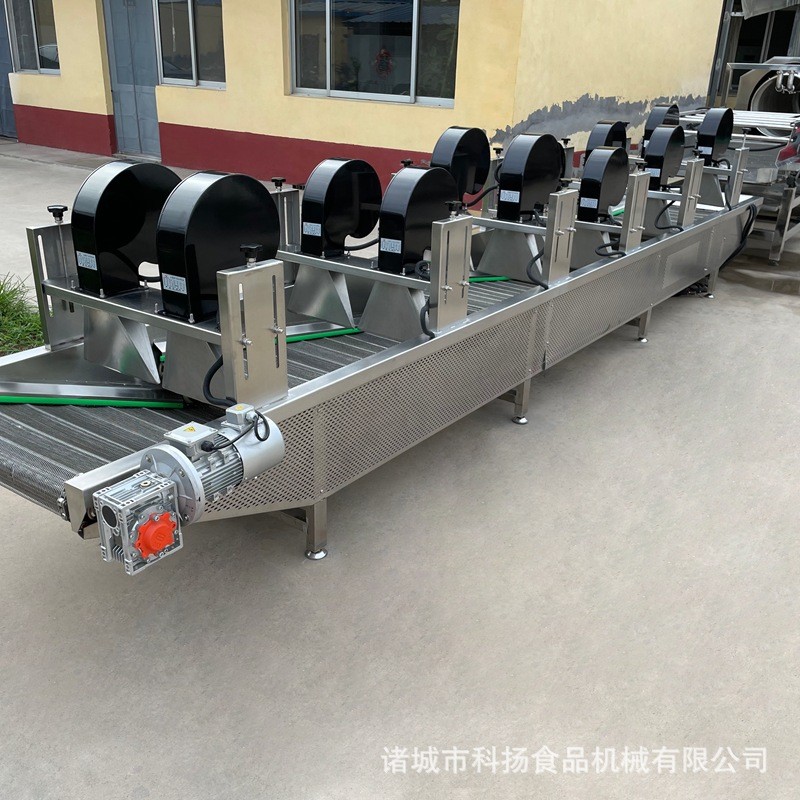 气泡清洗机 不锈钢高压喷淋果蔬清洗机 商用玉米海参气泡清洗机图3