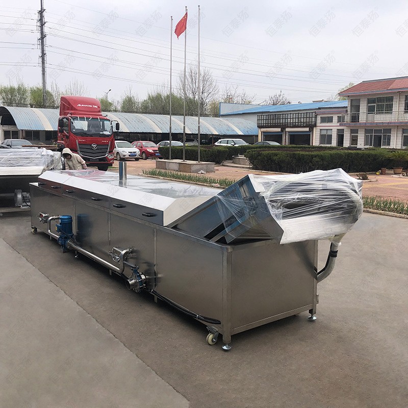 水浴式玉米杀菌机 竹笋花生杀青漂烫机 袋装牛奶酱菜巴氏杀菌设备图4