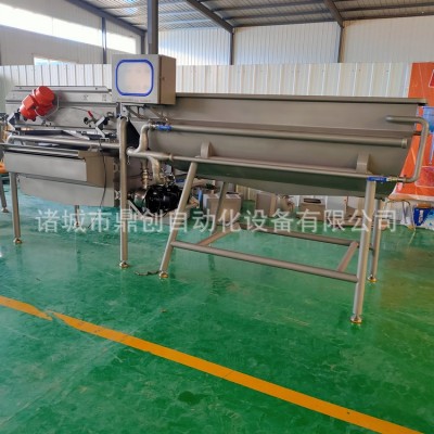 豆芽菜涡流清洗设备 中央厨房净菜设备 半成品果蔬全自动洗菜机