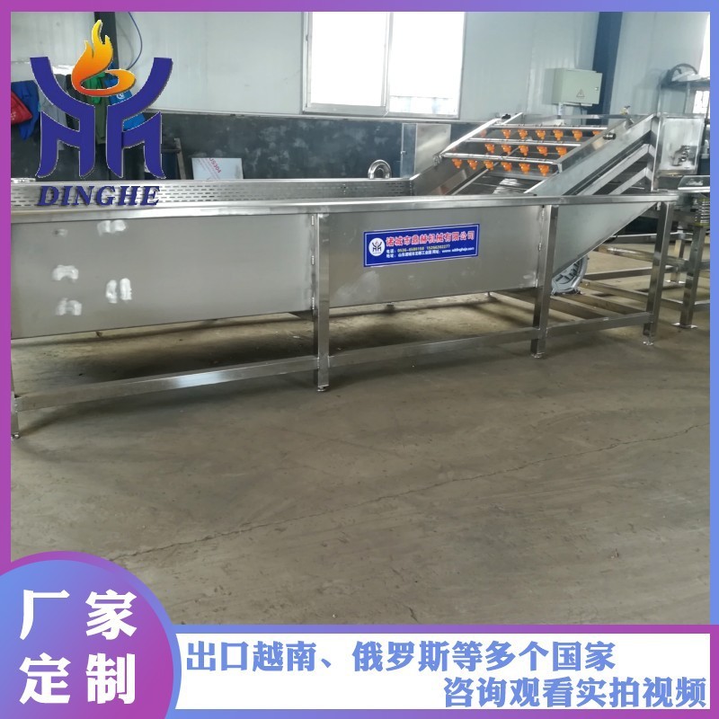 厂家供应气泡清洗机 全自动果蔬牛肚清洗机 喷淋式牛百叶清洗机图2