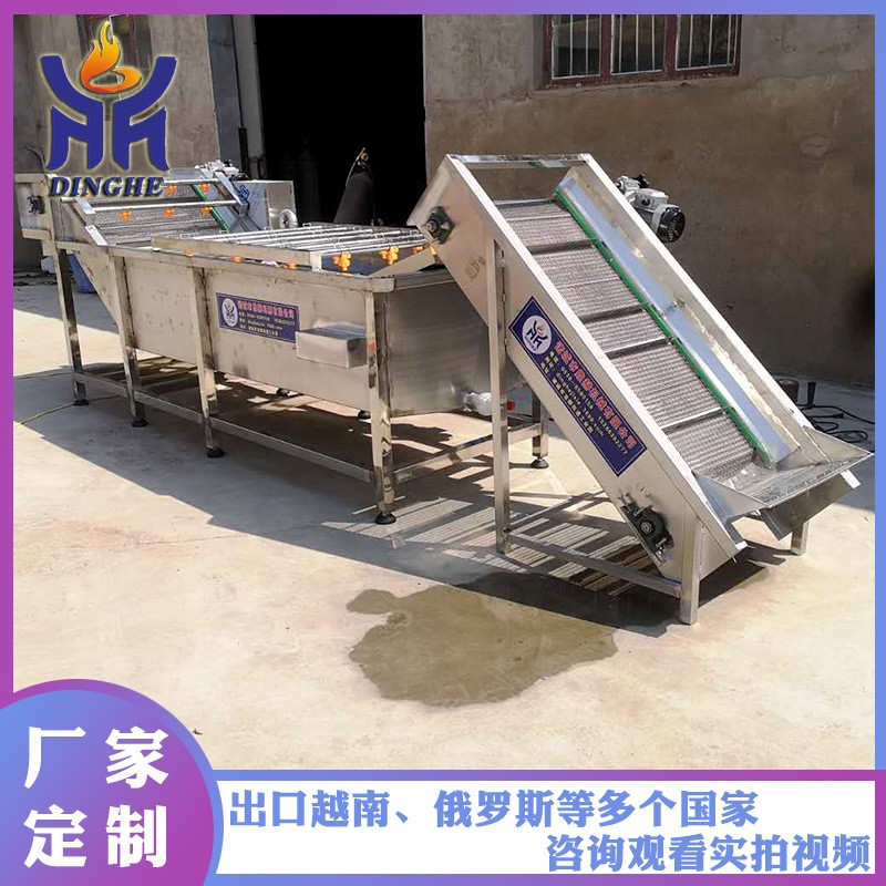 厂家供应气泡清洗机 全自动果蔬牛肚清洗机 喷淋式牛百叶清洗机图5