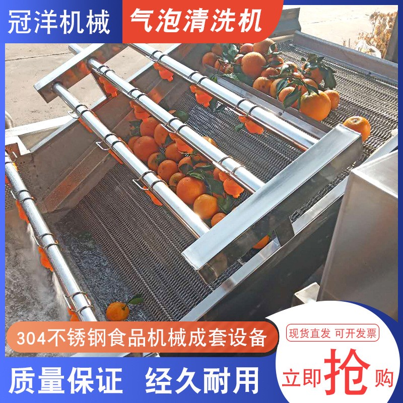 大型预制菜加工设备 小龙虾气泡清洗机 裙带菜海带清洗加工流水线图4