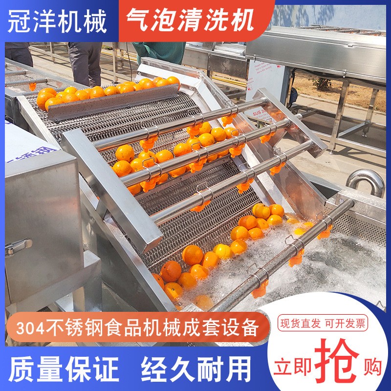 大型水果蔬菜清洗机 腌黄瓜酱菜脱盐清洗去杂设备 净菜加工流水线图2