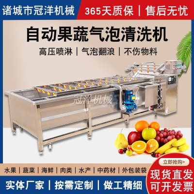 大型水果蔬菜清洗机 腌黄瓜酱菜脱盐清洗去杂设备 净菜加工流水线