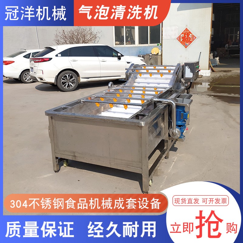大型水果蔬菜清洗机 腌黄瓜酱菜脱盐清洗去杂设备 净菜加工流水线图4