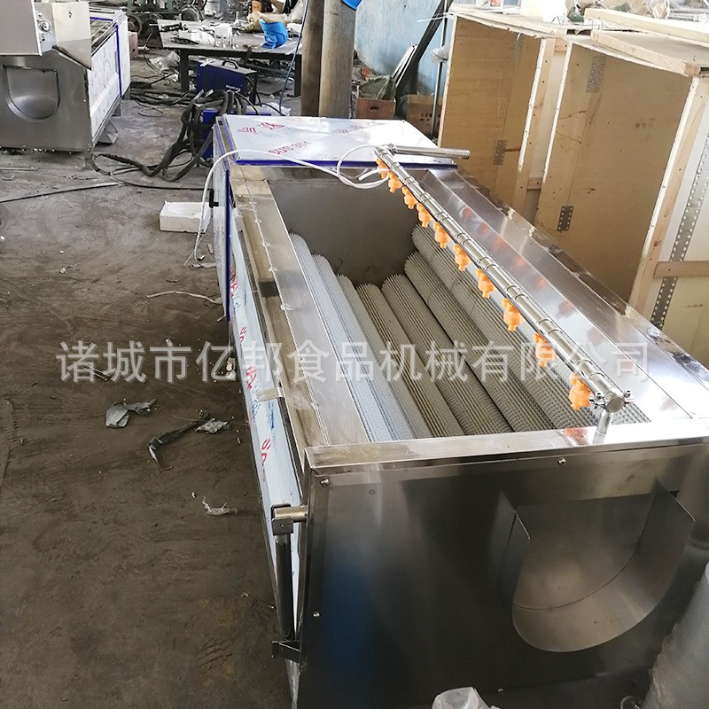 全自动土豆毛辊清洗机 胡萝卜去皮清洗机 莲藕毛辊去皮清洗机设备图2
