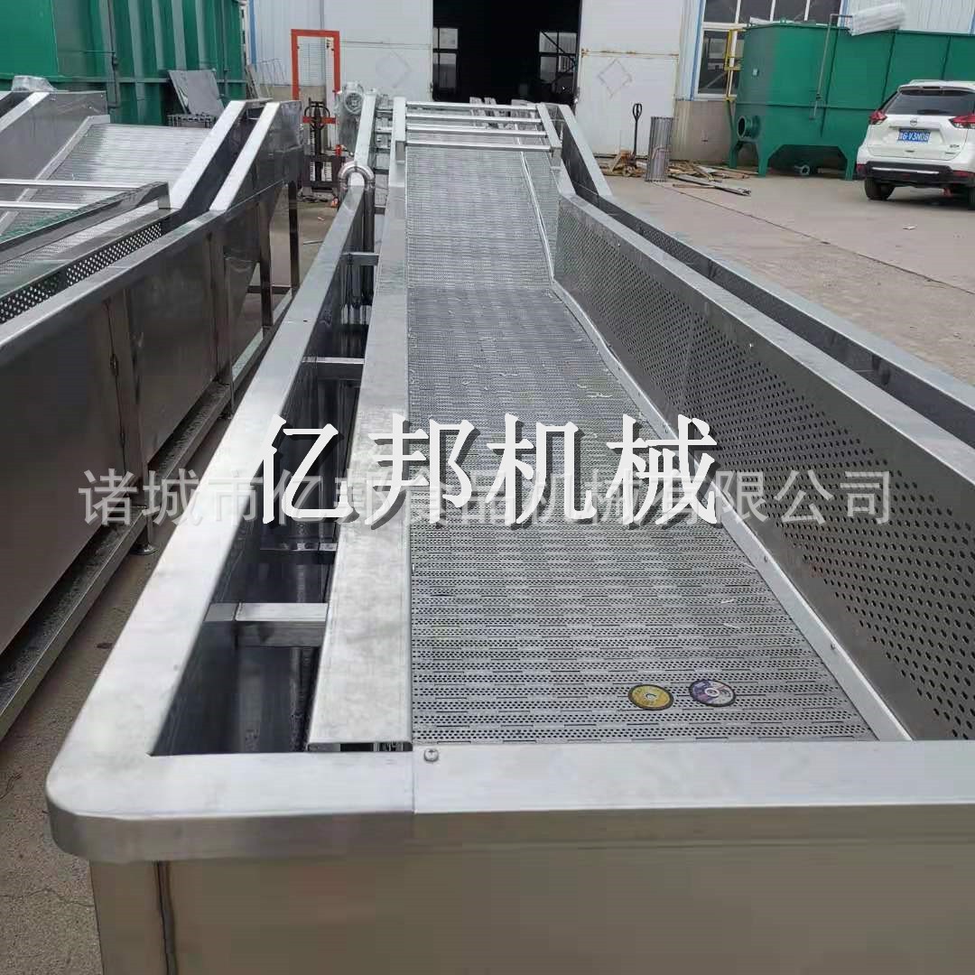 商用蔬菜气泡清洗机 全自动辣椒枸杞橘子果蔬清洗机 净菜加工设备图4