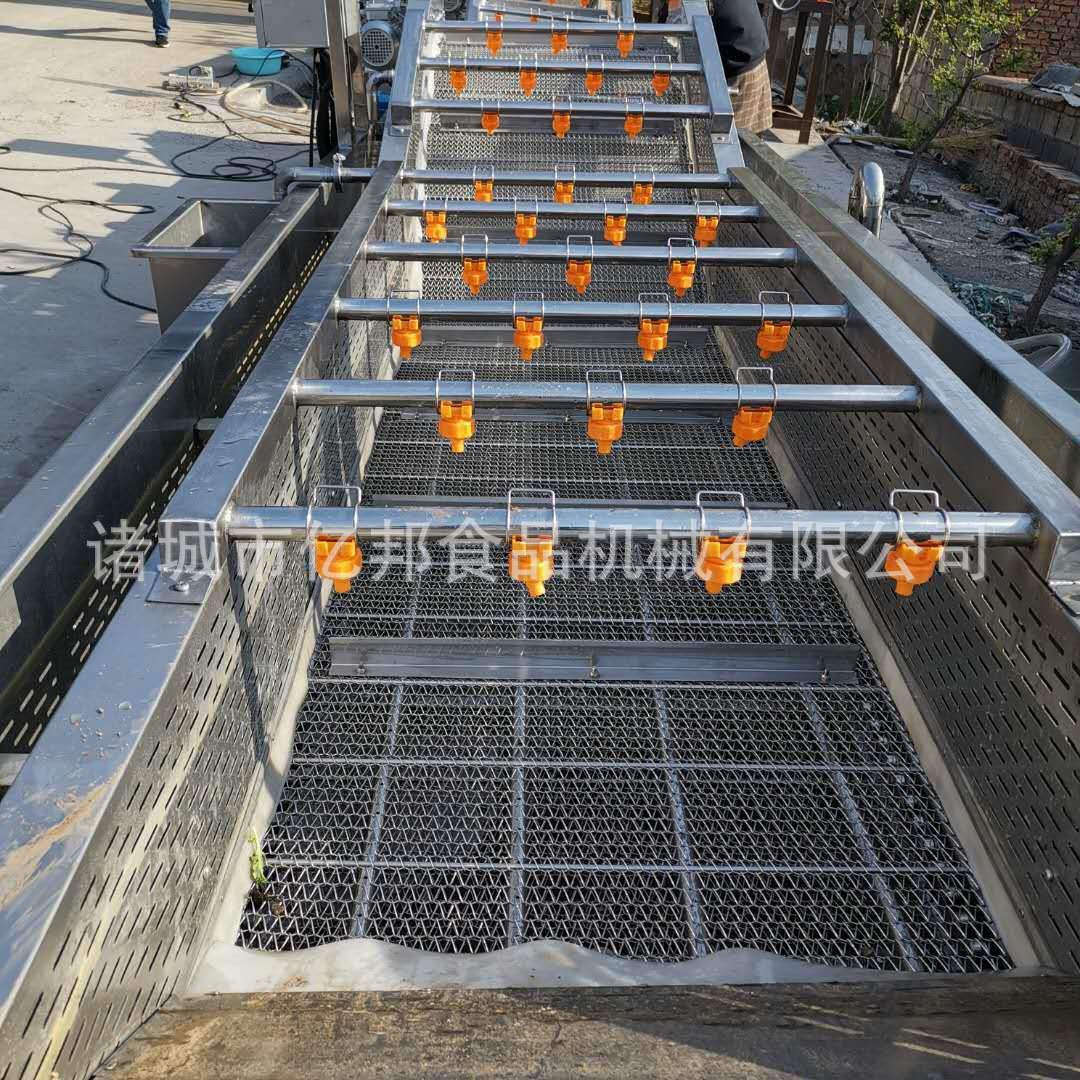 商用蔬菜气泡清洗机 全自动辣椒枸杞橘子果蔬清洗机 净菜加工设备图3