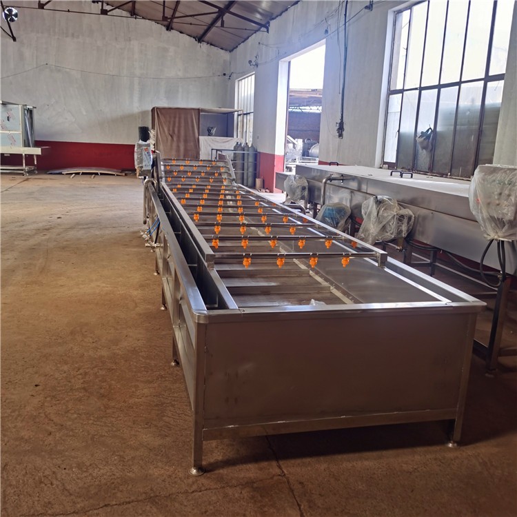 小金桔气泡清洗机 洗水果机 高压喷淋金枣子水浴式清洗机图2