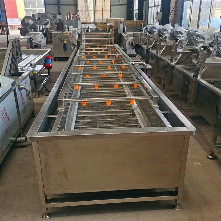 小金桔气泡清洗机 洗水果机 高压喷淋金枣子水浴式清洗机图3