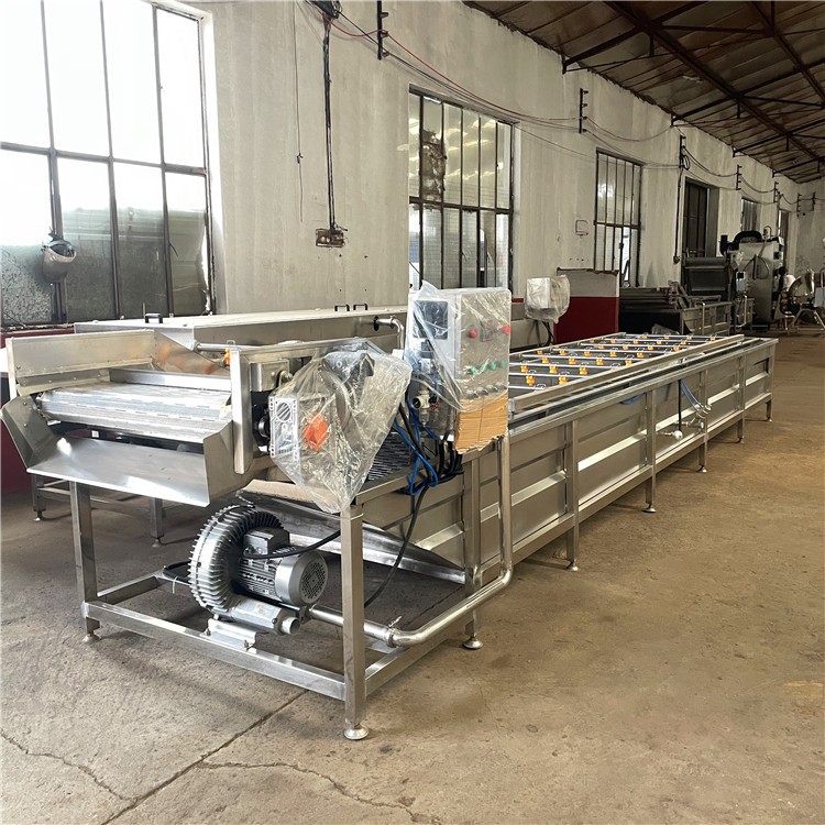 小金桔气泡清洗机 洗水果机 高压喷淋金枣子水浴式清洗机图4