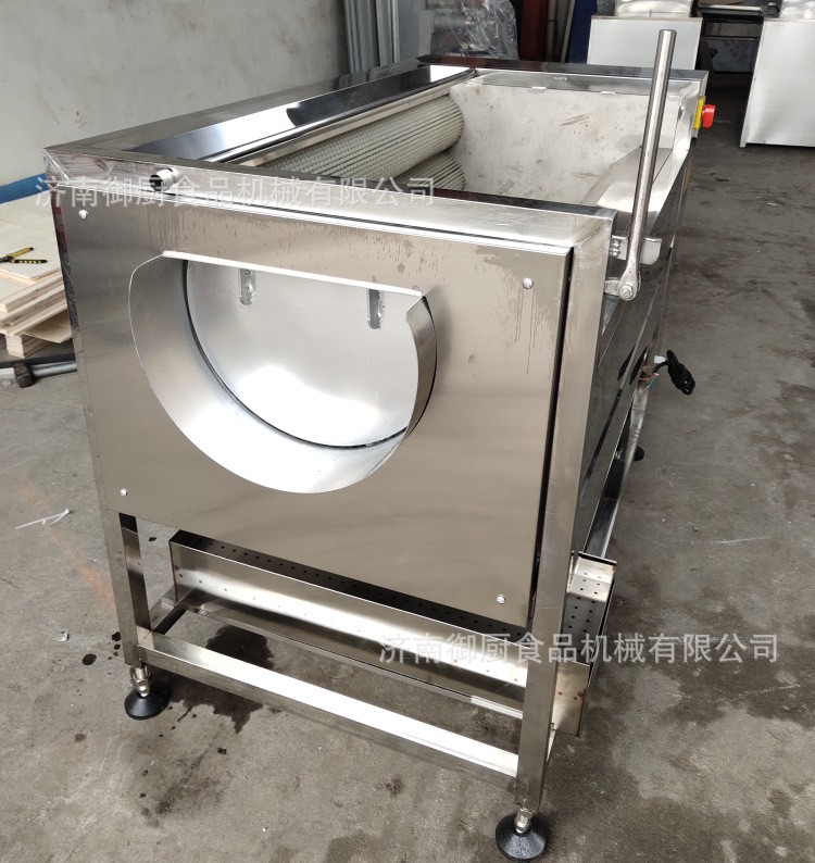 供应土豆去皮机 毛刷式大姜去泥清洗机 全自动红薯去皮毛刷清洗机图5