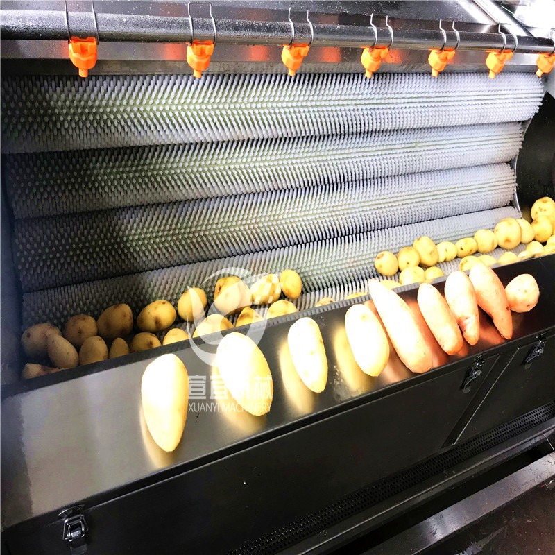 厂家销售红薯土豆清洗去皮机 莲藕胡萝卜大姜毛刷棍清洗机图5