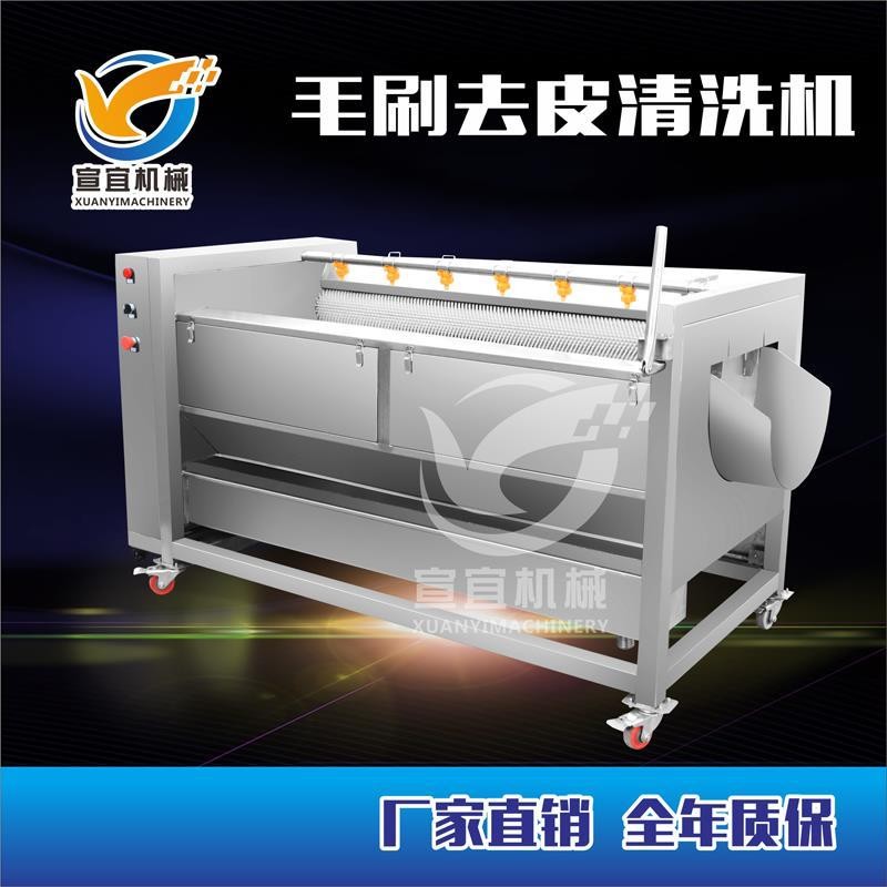 厂家销售红薯土豆清洗去皮机 莲藕胡萝卜大姜毛刷棍清洗机图3