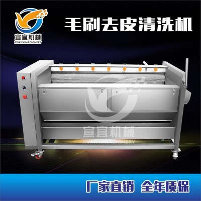 厂家销售红薯土豆清洗去皮机 莲藕胡萝卜大姜毛刷棍清洗机