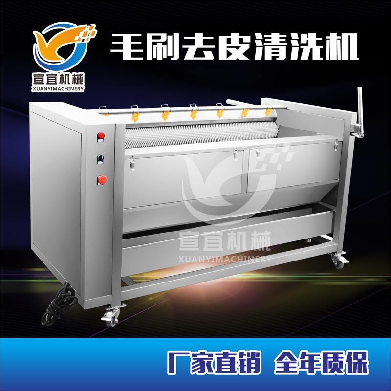 厂家销售红薯土豆清洗去皮机 莲藕胡萝卜大姜毛刷棍清洗机图2