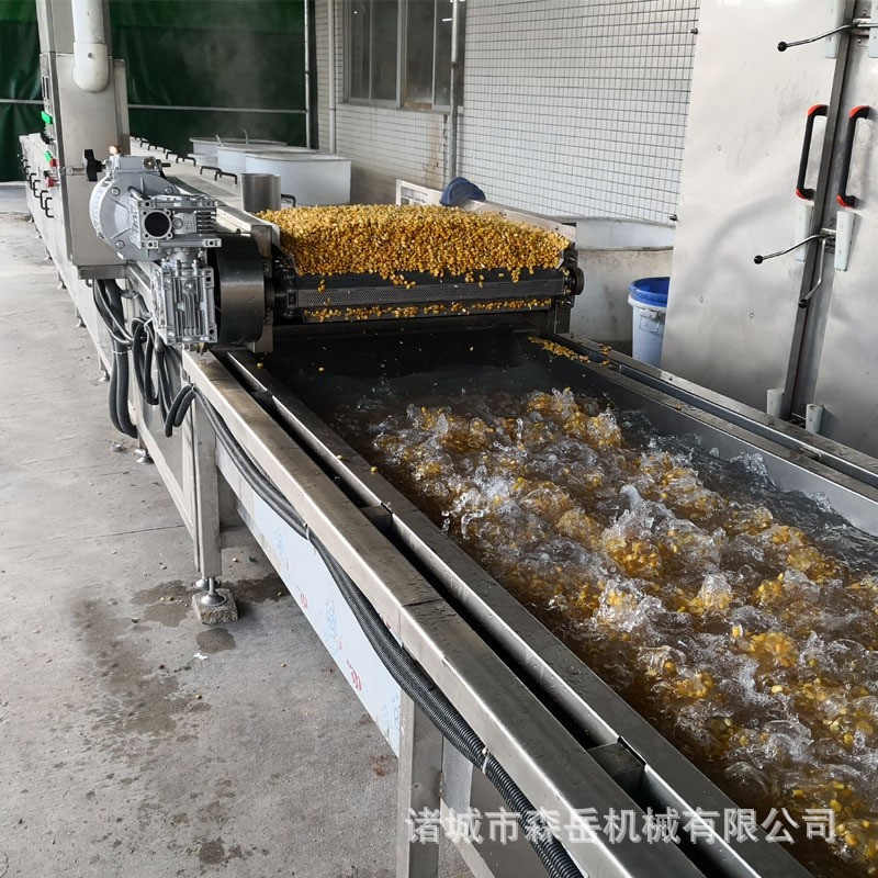 水果玉米全自动蒸煮机漂烫机 海鲜食品蒸煮冷却线中药材蒸煮机图2