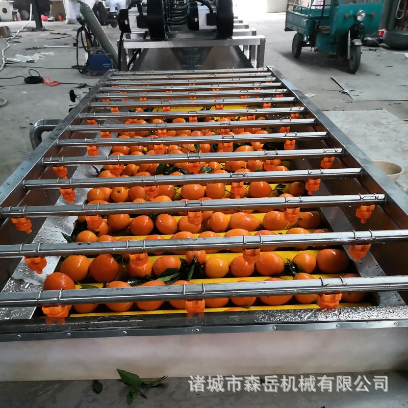 厂家全自动水果清洗打蜡机抛光机 橘子沃柑洗果机
