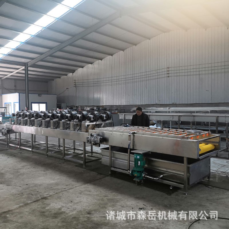 厂家全自动水果清洗打蜡机抛光机 橘子沃柑洗果机图2