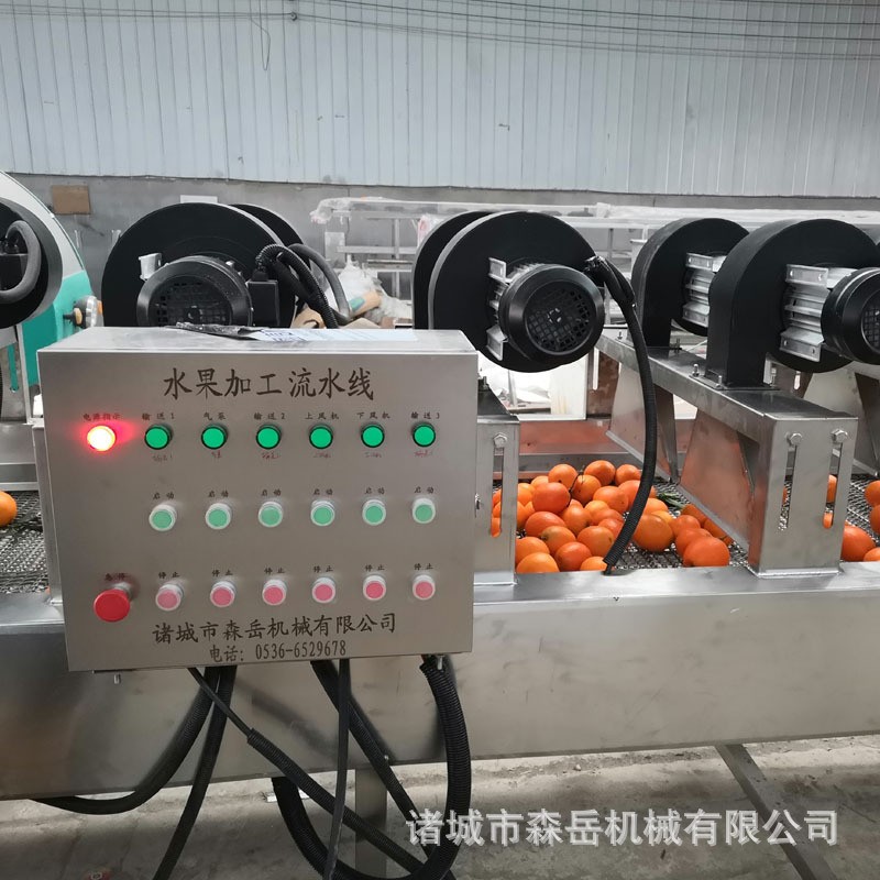 厂家全自动水果清洗打蜡机抛光机 橘子沃柑洗果机图5